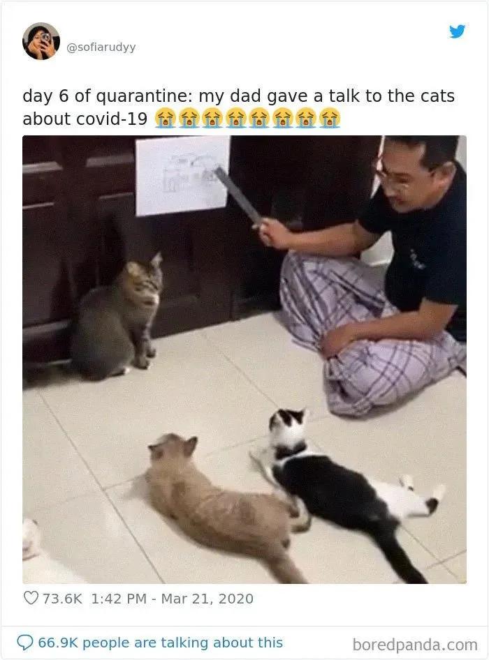 外国网友看抗疫感人视频催人泪下,国外疫情社会百态