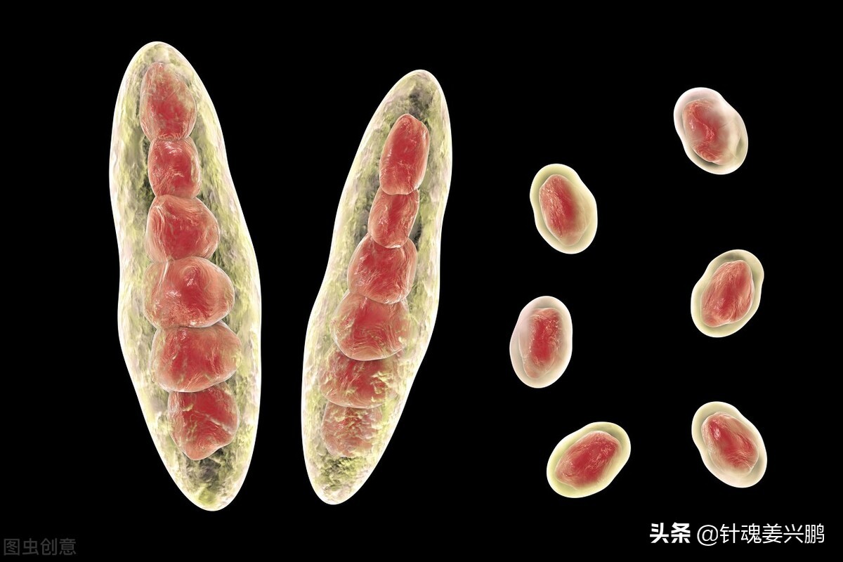 脚气真菌如何治才能根除,真菌脚气如何治才能根除