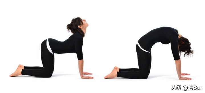 久坐族腰痛处理方法,久坐腰痛的缓解方法中医推拿