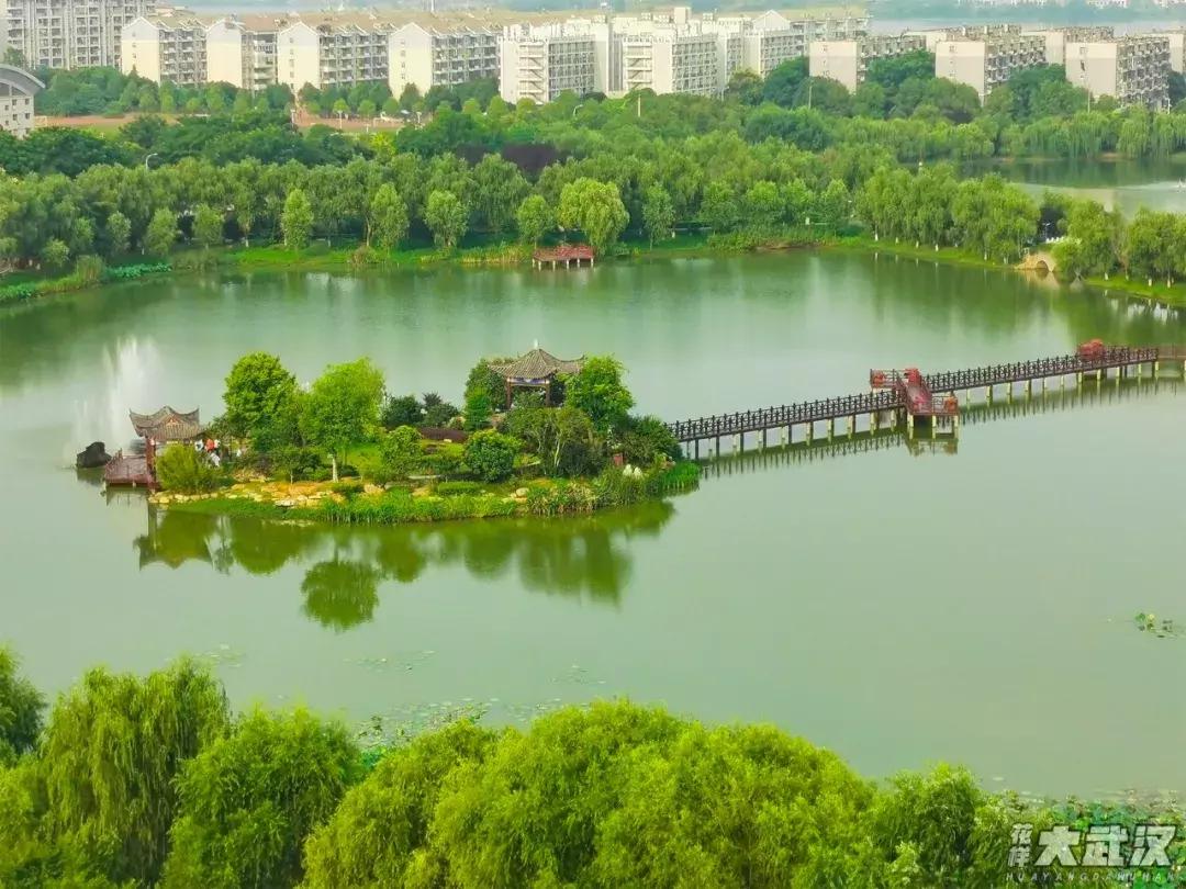 武汉科技大学的机械学院,武汉科技大学医学院和临床学院