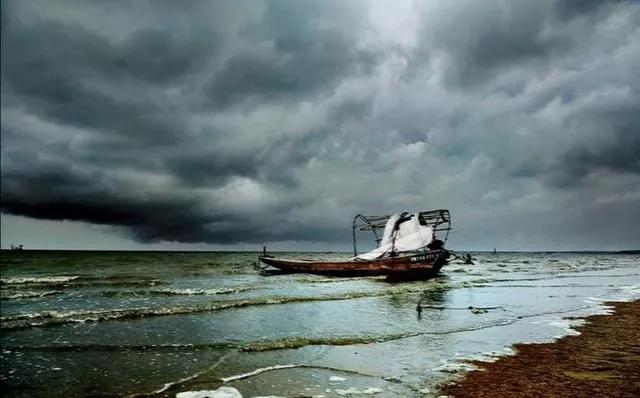 大自然的规律和启示,大自然的预知能力