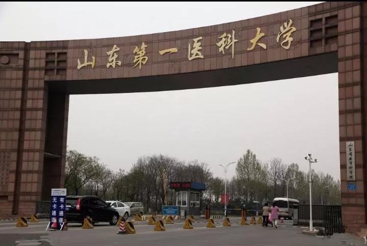 山医和青医哪个比较好,山医与青医