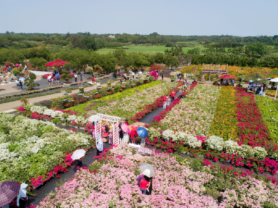 过年期间海南攻略,海南旅游过年攻略视频教程