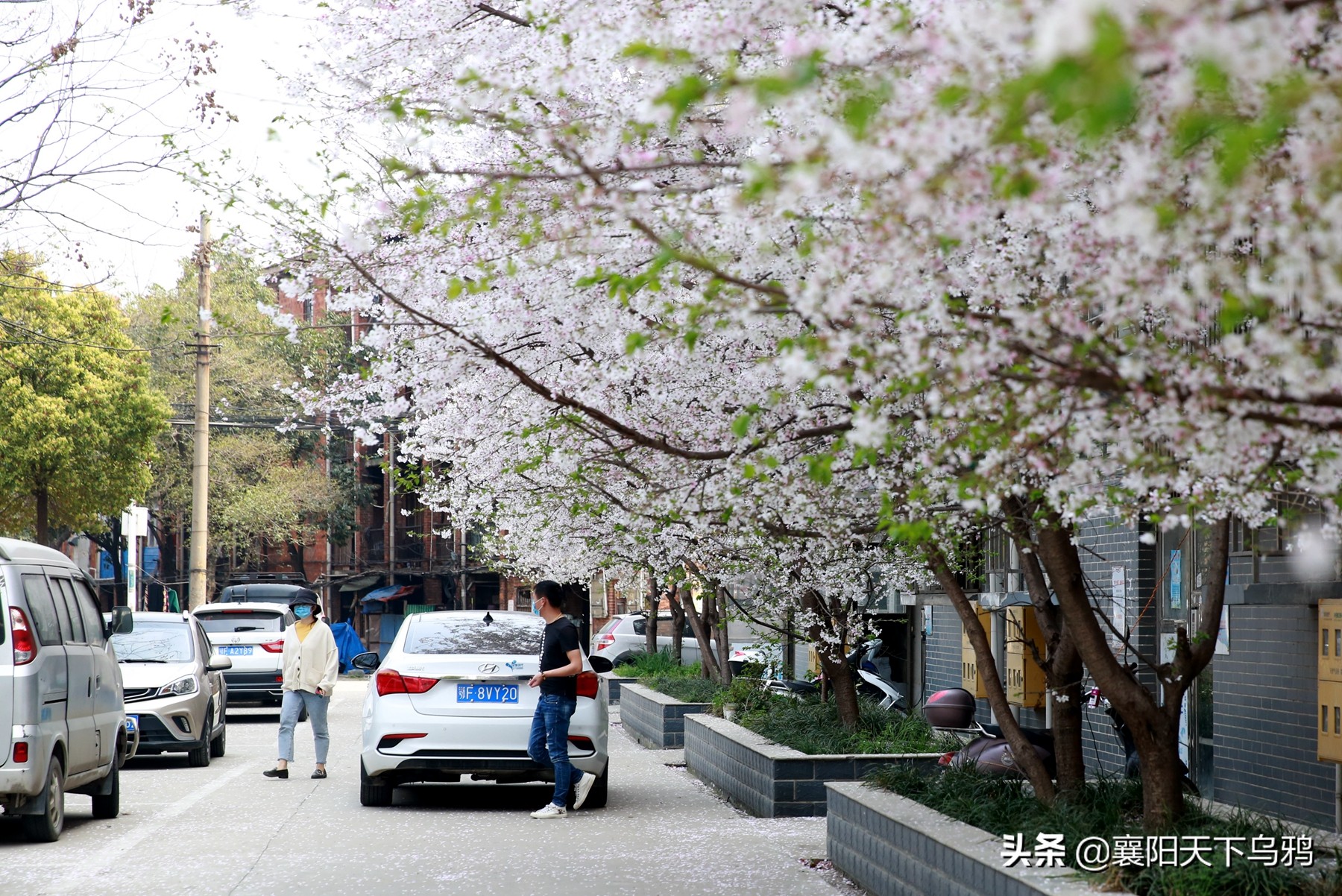 一些事情,谁都不愿意做,但总得有人去做