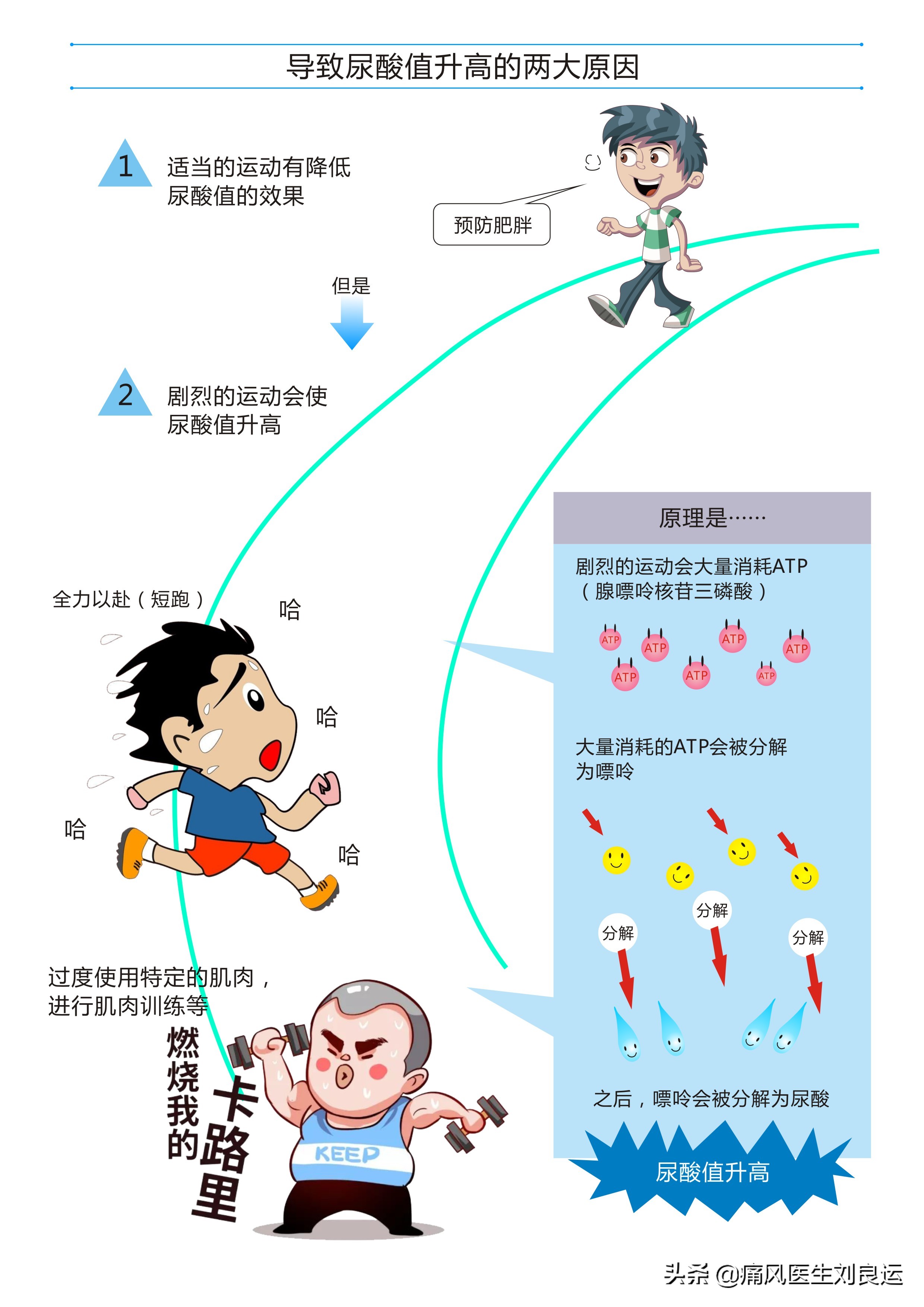 快速降尿酸有“特效药”吗？“根治”痛风的真相你清楚吗？