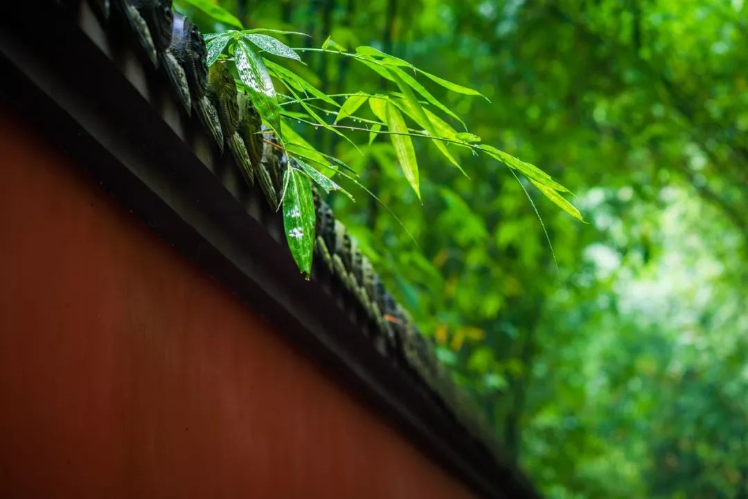 美到戳心的诗句,很美的诗句经典句子