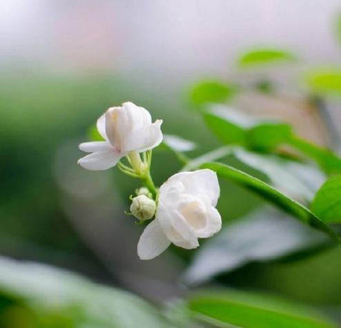 超皮的高情商幽默句子,高情商幽默风趣个性签名短句