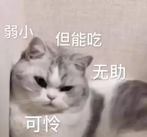 自考捷径,什么自考正规