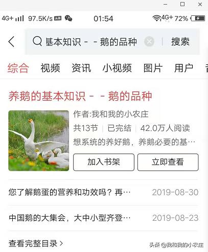 小鹅如何养殖成活率高,怎样用自家的鹅孵化小鹅苗最好