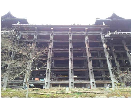 来到日本不能错过章鱼小丸子,来东京不能错过的地方