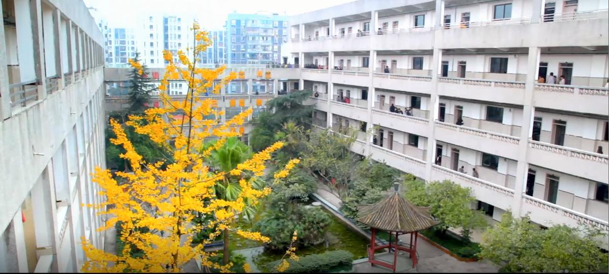 重庆哪所学校环境最好,重庆最美学校