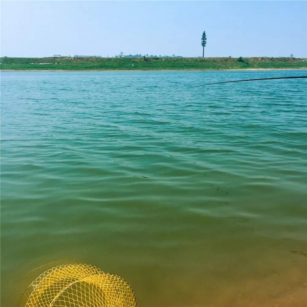 类似于橘子洲的江心洲有哪些,南京江心洲长沙橘子洲