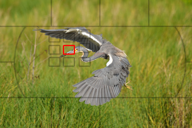 单反相机入门设置,单反相机新手十个基本操作