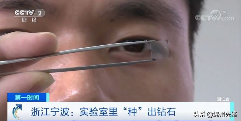 钻石种多少钱一克拉,7天种一克拉钻石