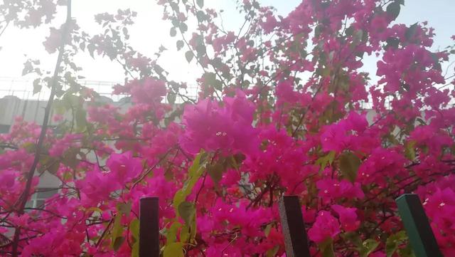 秀才遇到兵有理说不清什么意思,秀才遇到兵有理说不清的典故