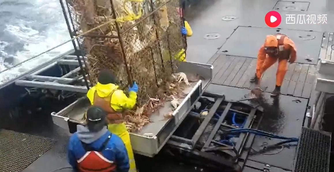 死亡率超高职业,死亡率高达百分之五十的职业