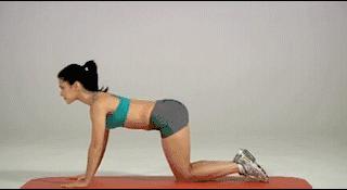 热身和拉伸什么时候做？怎么做？原来你一直混淆了...