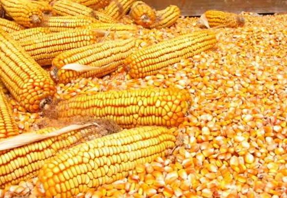 农村最适合干什么生意赚钱投资小,农村做什么生意最赚钱又简单见效