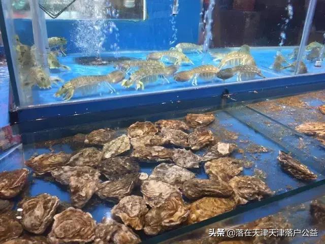 开海了怎么选海鲜,开海了囤点什么海鲜合适