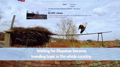 一对鸟夫妻的爱情视频,一对鸟夫妻的爱情故事