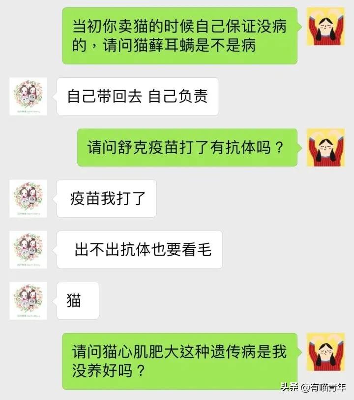 网上买的猫运回来死了,网上买猫三天送到半夜死了