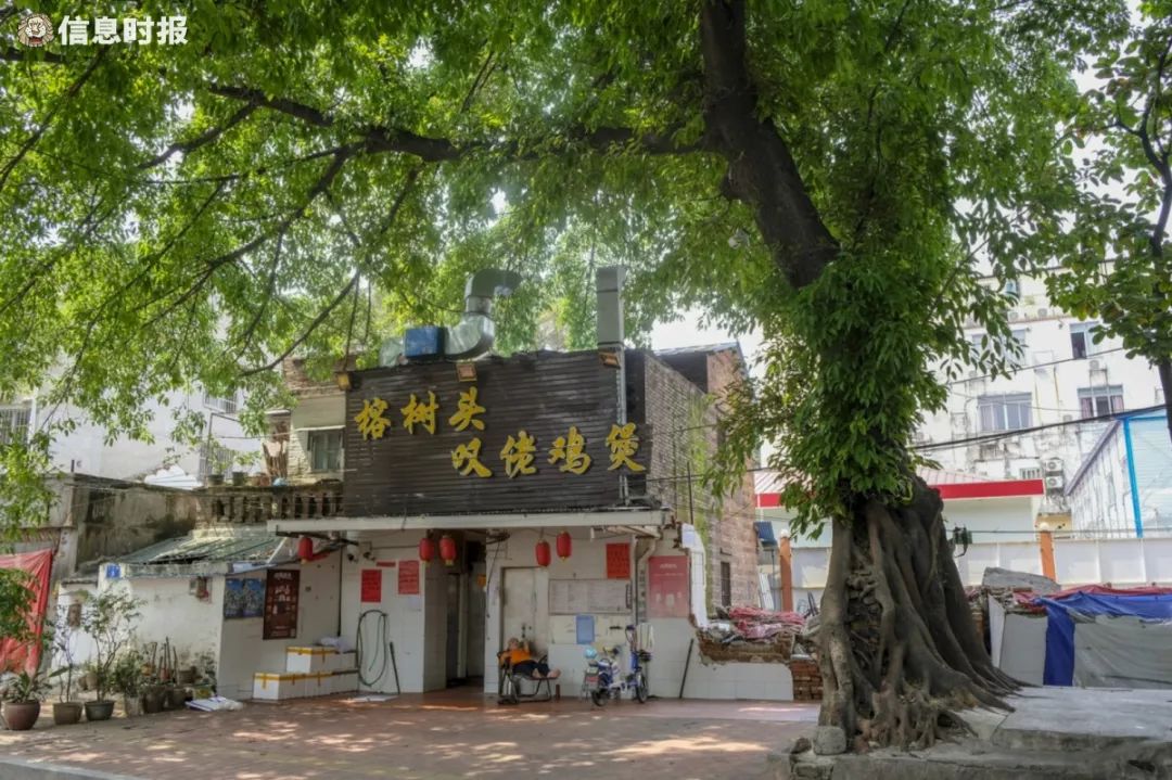 再见了相互嫌弃的老同学,再见了大别山原唱简谱