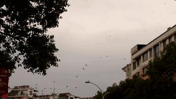 有一种生活叫常山