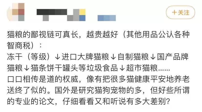 以为单身就可以自由,开始以为养猫是为了不孤单