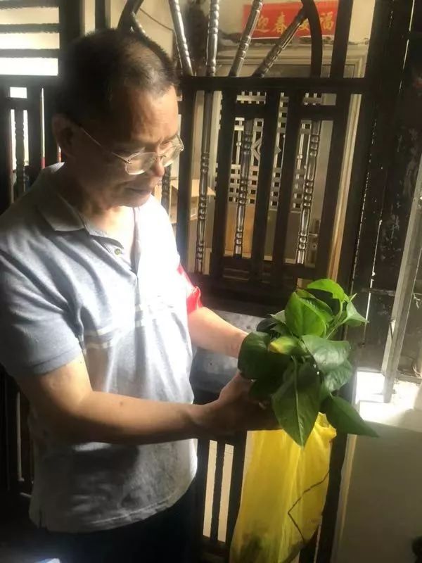 持续推进在职党员进社区志愿服务,在职党员下沉社区开展志愿服务