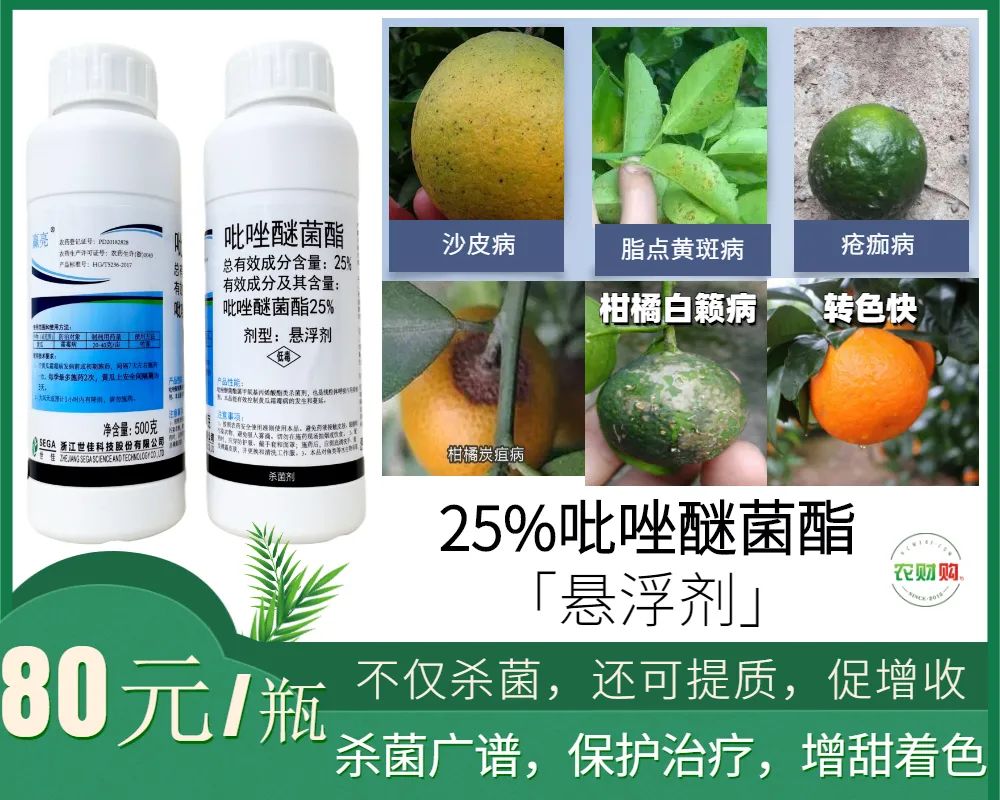 疮痂病，现已发现发病！常规、高阶、以及顶级版用药推荐