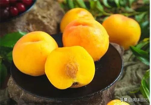 早熟的黄油桃,黄油桃无毛