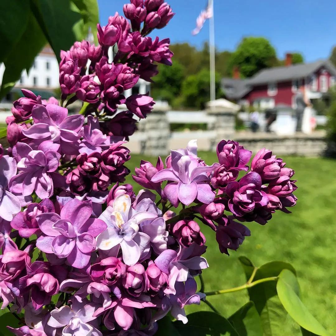 如何还清信用卡欠100万,如何还清信用卡合算