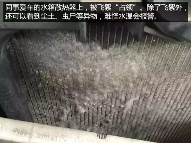 夏天给汽车内测温,夏天怎么给汽车快速降温