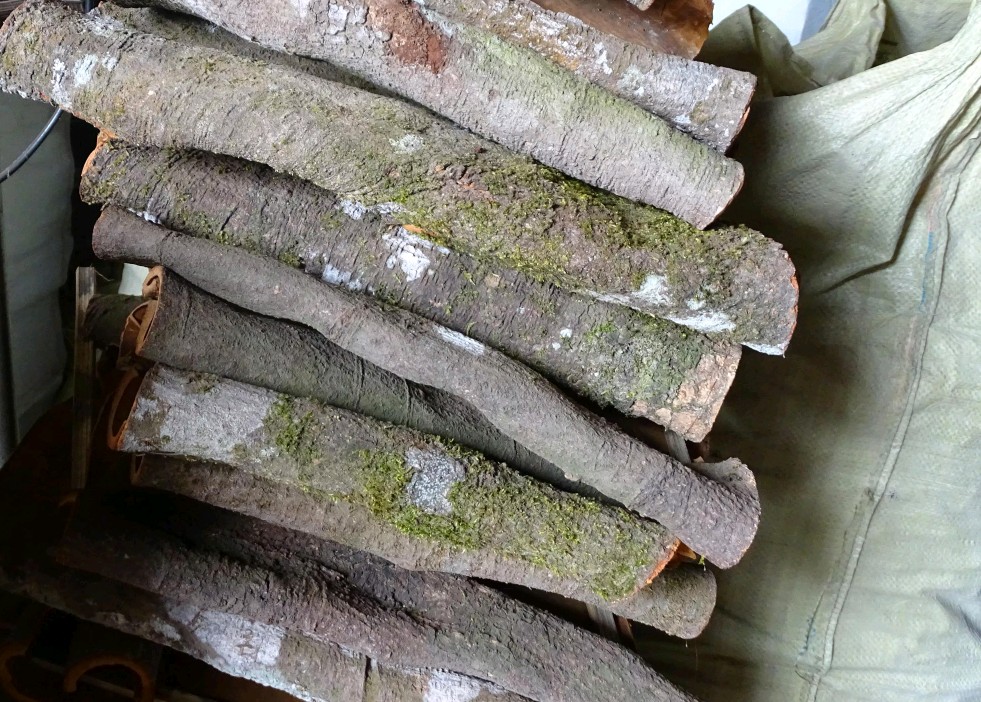 广西道地桂十味中药材是哪些,广西桂中有什么好中药