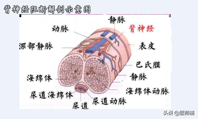 延时*剂喷**到底靠不靠谱,意外怀孕是否对胎儿发育不利?