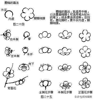 国画梅花画法视频,徐湛梅花画法教程