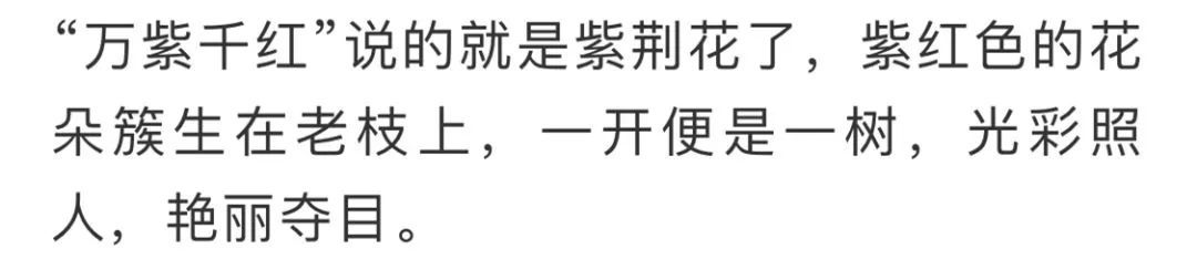 看到花的时候,不知是什么花?那就收下这份百花图谱