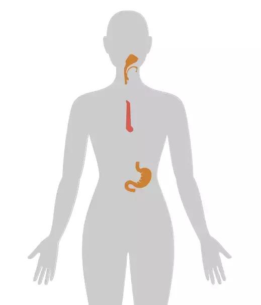 四个早期症状告诉你得了癌症,四种情况你有癌细胞