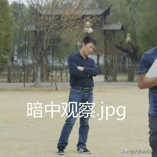 天狼团队最新视频,天狼团队所有视频