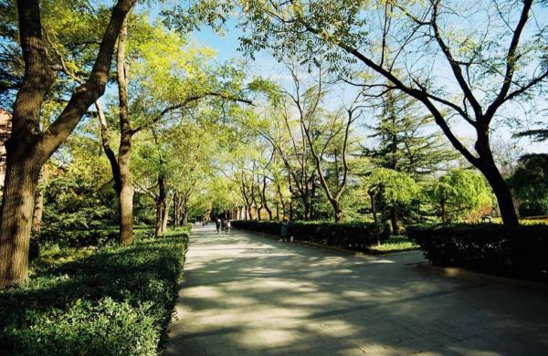 摄影师爆修片原图高清,摄影师现场修片崩溃