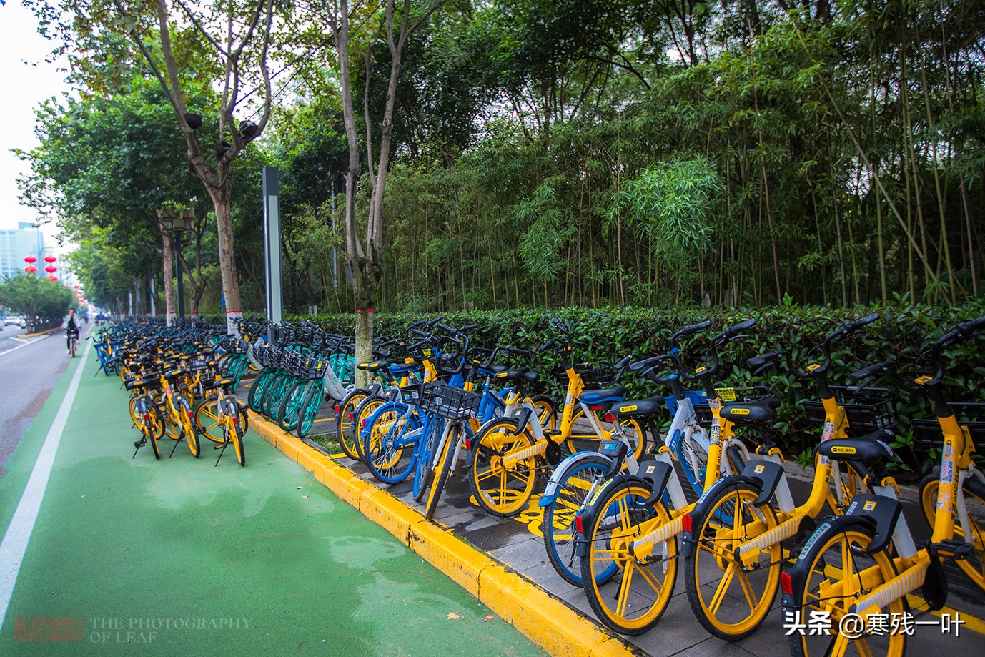 大度的西安，成公共自行车在国内发展最好的城市，全城人都在骑