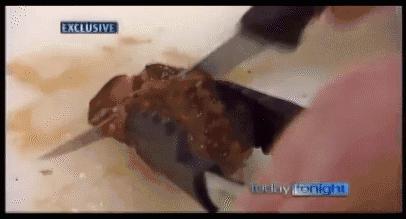 澳洲牛肉骗局揭秘,澳洲牛肉真相揭秘