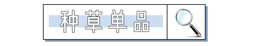 施华洛世奇能不能买,施华洛世奇为什么不建议买