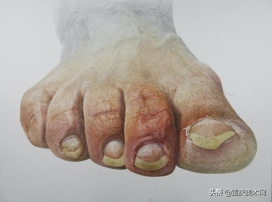 中央美术学院精微素描,中央美术学院全国素描第一名