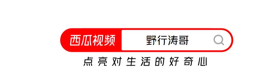 这4种鱼能让你变成百万富翁,钓到发财的鱼视频