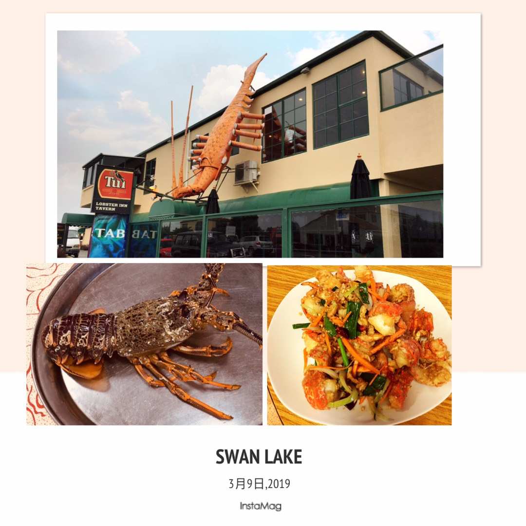 超好用的新西兰自驾攻略（二）——凯库拉