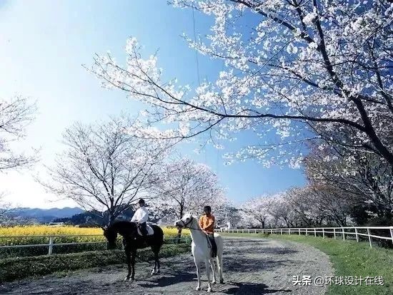 圣火被熄灭,圣火被灭两次