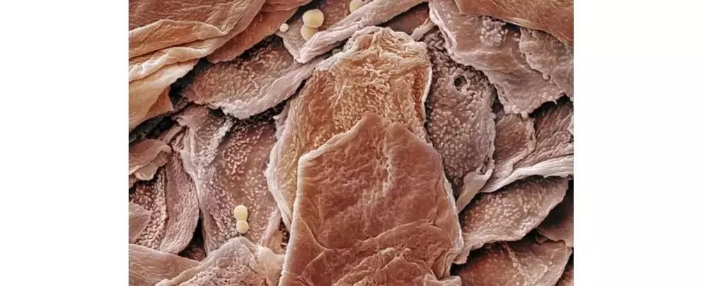 水膜保湿护理,水膜护肤正确方法