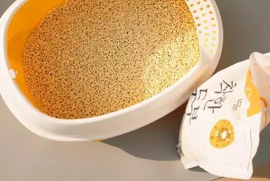 养猫笔记分享,养猫日记文章