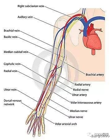 csgo被闪光弹砸中扣多少血,csgo被闪光砸中会扣血吗
